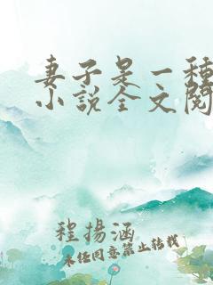 妻子是一种感觉小说全文阅读