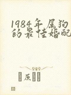 1984年属狗的最佳婚配属相