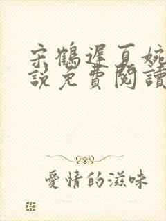 宋鹤迟夏婉初小说免费阅读最新章节