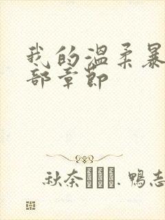 我的温柔暴君全部章节