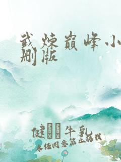 武炼巅峰小说未删版