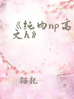 《纯肉np高辣文h》