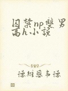 囚禁np双男主高h小说