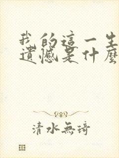 我的这一生没有遗憾是什么歌