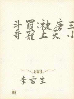 斗罗:被唐三哥哥宠上天 小说