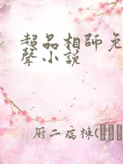 超品相师免费有声小说