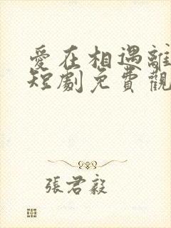 爱在相遇离婚时短剧免费观看