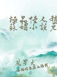 极品佳人赵大宝苏媚小说免费