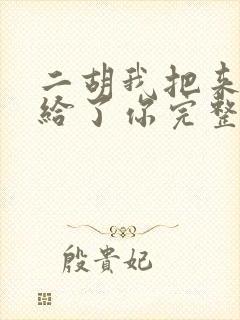 二胡我把来生许给了你完整版