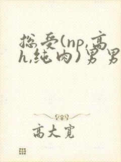 总受(np,高h,纯肉)男男