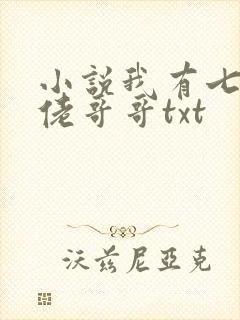 小说我有七个大佬哥哥txt