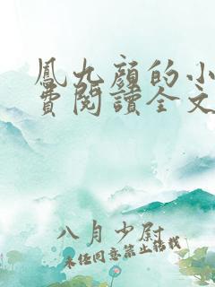 凤九颜的小说免费阅读全文无弹窗