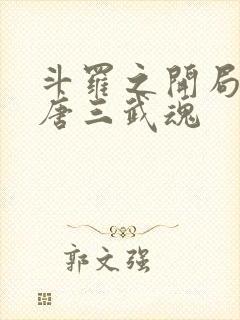 斗罗之开局揭露唐三武魂