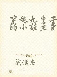 穿越九皇子路辰的小说免费阅读