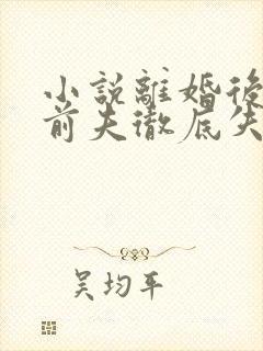 小说离婚后豪门前夫彻底失了控好看么