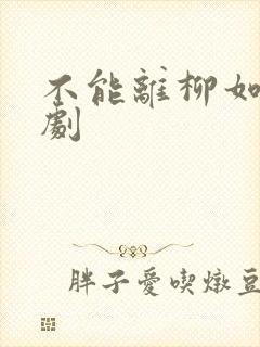 不能离柳如烟短剧