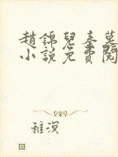 赵锦儿秦慕修的小说免费阅读全文