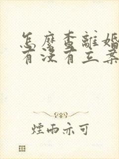 怎么查离婚诉讼有没有立案