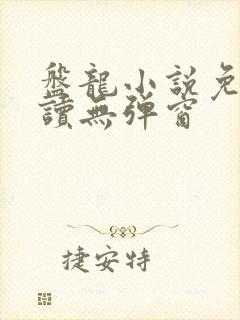 盘龙小说免费阅读无弹窗