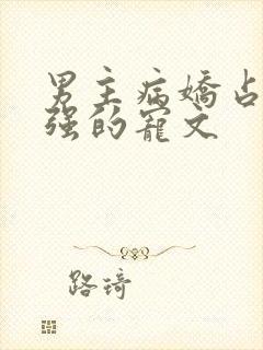 男主病娇占有欲强的宠文