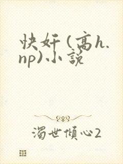 快奸 (高h.np)小说
