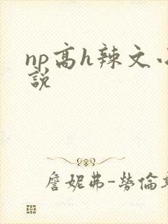np高h辣文小说