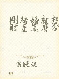 刚结婚就想离婚财产怎么分配