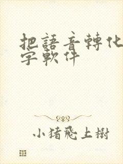 把语音转化成文字软件