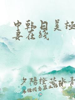 中韩日美极品人妻在线