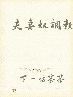 夫妻奴调教经历