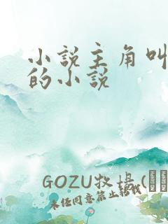 小说主角叫苏浩的小说