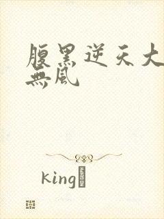 腹黑逆天大小姐无风