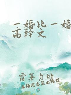 一婚比一婚高的高干文