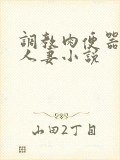 调教肉便器精厕人妻小说