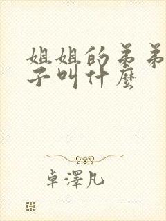 姐姐的弟弟的儿子叫什么