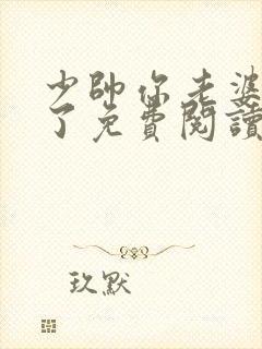 少帅你老婆又跑了免费阅读完整版