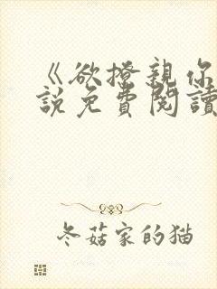 《欲撩亲你》小说免费阅读全文