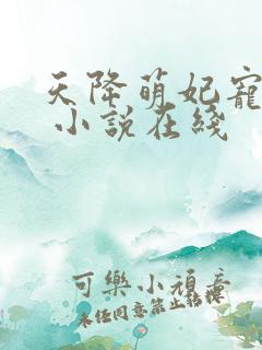 天降萌妃宠翻天 小说在线