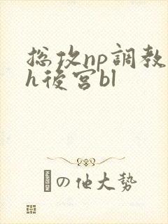 总攻np调教高h后宫bl
