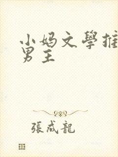 小妈文学推荐双男主