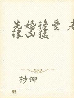 先婚后爱 老公很凶猛