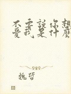 不要说你想我你爱我是什么歌