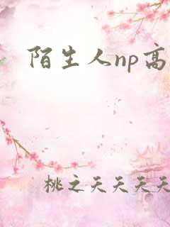 陌生人np高h