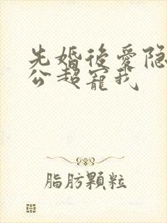 先婚后爱隐婚老公超宠我