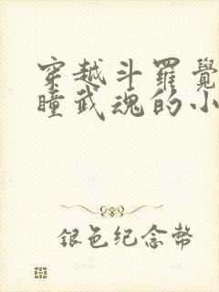 穿越斗罗觉醒重瞳武魂的小说