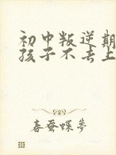 初中叛逆期的男孩子不去上学怎么去引导