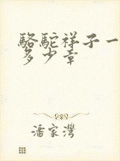 骆驼祥子一共有多少章