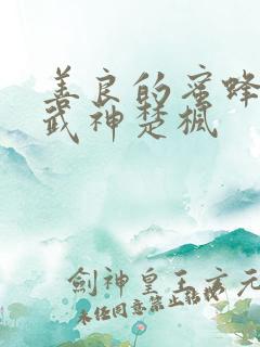 善良的蜜蜂修罗武神楚枫