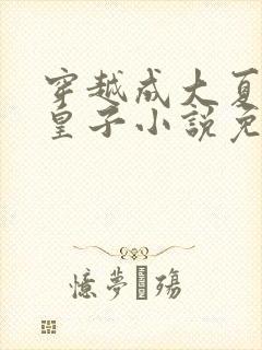 穿越成大夏国九皇子小说免费阅读