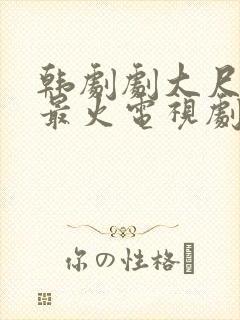 韩剧剧大尺推荐最火电视剧